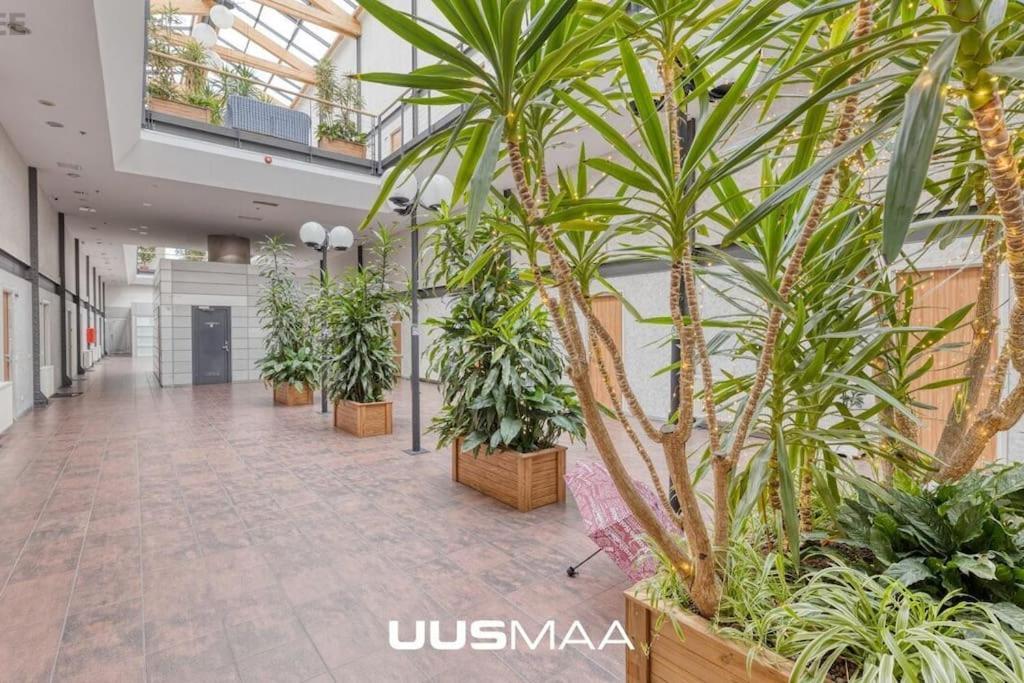 Charming Loft Near Old Town Apartment Tallinn Luaran gambar